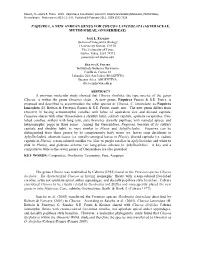 Paquirea, a New Andean Genus for Chucoa