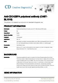 Anti-CDC42BPA Polyclonal Antibody (CABT- BL1018) This Product Is for Research Use Only and Is Not Intended for Diagnostic Use