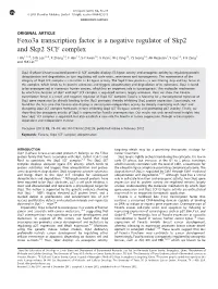 Foxo3a Transcription Factor Is a Negative Regulator of Skp2 and Skp2 SCF Complex