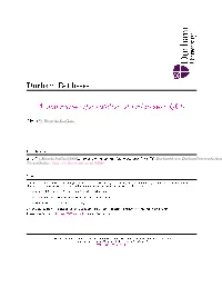 Function, the Iterated Function Being That Involved in the Solution of the Two-Loop /9-Function Equation