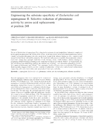 Engineering the Substrate Specificity of Escherichia Coli Asparaginase II