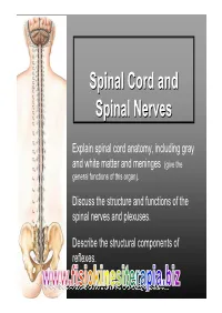 Spinal Cord and Spinal Nerves