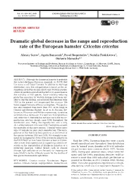 Full Text in Pdf Format
