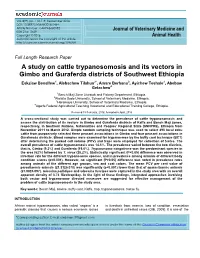 A Study on Cattle Trypanosomosis and Its Vectors in Gimbo and Guraferda Districts of Southwest Ethiopia