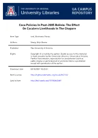 Coca Policies in Post-2005 Bolivia: the Effect on Cocalero Livelihoods in the Chapare