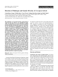 Detection of Pathotypes and Genetic Diversity of Cercospora Beticola