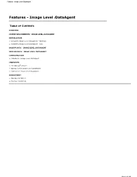 Image Level Idataagent