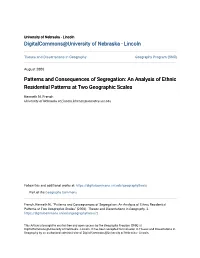 Patterns and Consequences of Segregation: an Analysis of Ethnic Residential Patterns at Two Geographic Scales