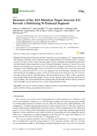 Structure of the ALS Mutation Target Annexin A11 Reveals a Stabilising N-Terminal Segment
