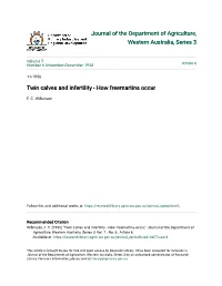 Twin Calves and Infertility - How Freemartins Occur
