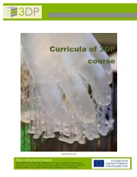 Curricula of 3DP Course