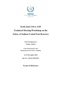 Sixth Joint IAEA–GIF Technical Meeting/Workshop on the Safety of Sodium Cooled Fast Reactors