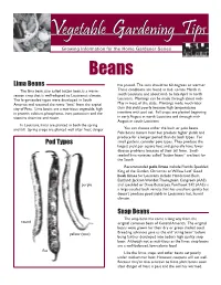 Lima Beans Snap Beans Pod Types