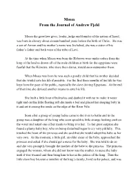 Moses from the Journal of Andrew Fjeld