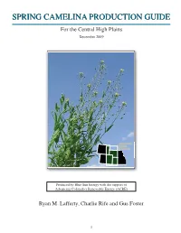 Spring Camelina Production Guide 2009 DEC.Indd
