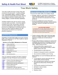 Tree Work Safety Fact Sheet