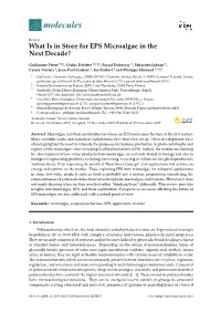 What Is in Store for EPS Microalgae in the Next Decade?