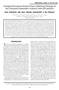 Ecological Divergence Between Two Evolutionary Lineages of the Caucasian Salamander: Evidence from GIS Analysis