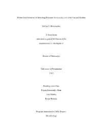 Within-Host Diversity of Multidrug-Resistant Escherichia Coli in the Gut and Bladder Sofiya G. Shevchenko a Dissertation Submitt