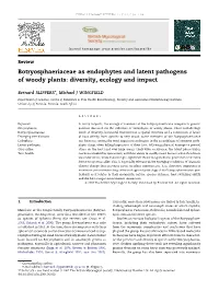 Botryosphaeriaceae As Endophytes and Latent Pathogens of Woody Plants: Diversity, Ecology and Impact