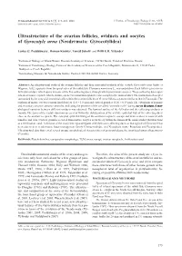 Neodermata: Gyrocotylidea)