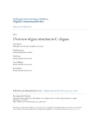 Overview of Gene Structure in C. Elegans John Spieth Washington University School of Medicine in St