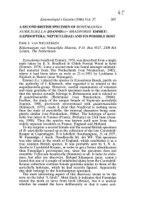 PDF Viewing Archiving 300