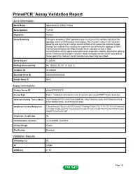 Primepcr™Assay Validation Report
