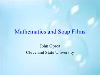 The Mathematics of Soap Films
