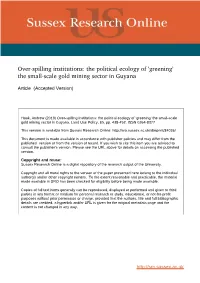 The Smallscale Gold Mining Sector in Guyana