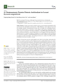 A Chemosensory Protein Detects Antifeedant in Locust (Locusta Migratoria)
