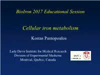 Cellular Iron Homeostasis