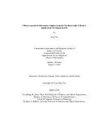 PHD Dissertaiton by Zhen Tao.Pdf (3.618Mb)