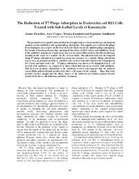 The Reduction of T7 Phage Adsorption in Escherichia Coli B23 Cells Treated with Sub-Lethal Levels of Kanamycin