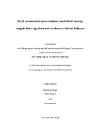 Vocal Communication in a Tolerant Multi-Level Society: Insights from Signallers and Receivers in Guinea Baboons