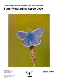 Butterfly Recording Report 2020