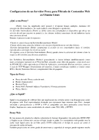 Configuracion De Un Servidor Proxy Para Filtrado De Contenidos Web En Ubuntu Linux