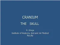 Craniumcranium