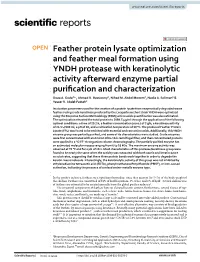Feather Protein Lysate Optimization and Feather Meal Formation Using