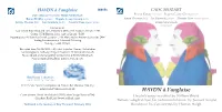 HAYDN À L'anglaise