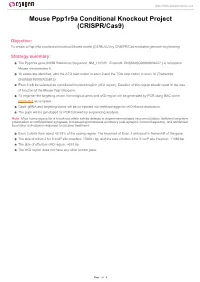 Mouse Ppp1r9a Conditional Knockout Project (CRISPR/Cas9)