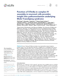 Function of Htim8a in Complex IV Assembly in Neuronal Cells