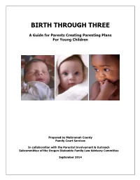 2014 Zero to Three Parenting Plan Guide (PDF)