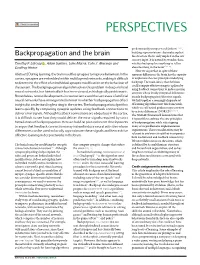 Backpropagation and the Brain the Structure That Is Only Implicit in the Raw Sensory Input