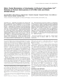 Nitric Oxide Modulation of Interleukin-1Я-Evoked Intracellular