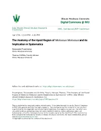 The Anatomy of the Hyoid Region of Molossus Molossus and Its Implication in Systematics