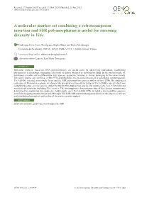 A Molecular Marker Set Combining a Retrotransposon Insertion and SSR Polymorphisms Is Useful for Assessing Diversity in Vitis