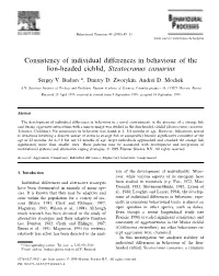 Consistency of Individual Differences in Behaviour of the Lion-Headed Cichlid, Steatocranus Casuarius