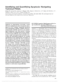 Identifying and Quantifying Apoptosis: Navigating Technical Pitfalls Megan M