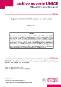 Thesis Reference